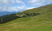 Excursión Senderismo Brixen - Bressanone - Plosehütte et Rossalm - Photo 6