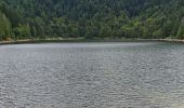 Trail Walking La Bresse - boucle la Bresse - lac des corbeaux - rocher du lac - Ã©tang de sechemer - la Bresse  - Photo 14