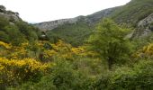 Trail Walking Buoux - Buoux-Grand Luberon 17km - Photo 4