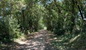 Tour Mountainbike Les Sables-d'Olonne - Circuit du chemin de ronde - Photo 3