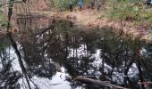 Tour Wandern Fontainebleau - croix f'Augas Gilbert - Photo 1