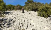 Tocht Stappen La Valette-du-Var - le Coudon - Photo 6