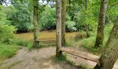 Percorso Bici ibrida Le Teich - Le Teich - Photo 10