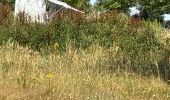 Tour Wandern Confolens - Confolens - Photo 4