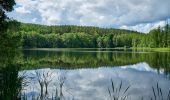 Tour Zu Fuß Ronsperg - NS Těžba živců na Poběžovicku - Photo 5