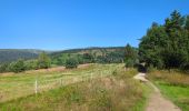 Trail Walking Orbey - Circuit des 2 lacs : lac du Forlet et lac Vert - Photo 3