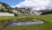 Excursión Senderismo Châtillon-en-Diois - Vallon de Combau - Pas de l'Aiguille - Photo 15