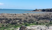 Trail Walking Saint-Pierre-Quiberon - PR_56_St-Pierre-Quiberon_BA_02_Entre-Baie-Et-Ocean_Circuit4a_20240303 - Photo 2