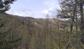 Trail Walking Risoul - plan de phazy par la forêt de risoul en boucle - Photo 2