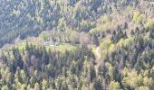Tour Wandern Arvière-en-Valromey - Le Grand Colombier - Photo 1