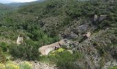 Percorso Marcia Fréjus - Esterel : barrage de Malpasset et lac de l'Avellan - Photo 2