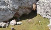 Percorso Marcia Villarodin-Bourget - Lac de la partie Vanoise - Photo 3