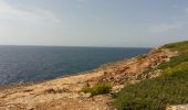 Tocht Stappen Llucmajor - Cala Pi - Photo 1