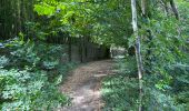 Trail Walking Ghent - Lourdes d’Oostacker 12,7 km - Photo 2