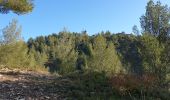 Tocht Stappen Boulbon - Boulbon et le Moulin Bonnet - Photo 1