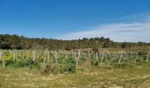 Tour Wandern Talairan - Chemin du facteur + Gourg - Photo 8