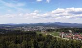 Trail On foot Bischofsmais - Bischofsmais Nr. 7 - Photo 4