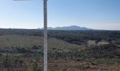 Tocht Stappen Peynier - la plaine de la garde - Photo 3