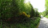 Randonnée V.T.T. La Hulpe - VTT sur la forêt de soignes - Photo 5