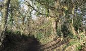 Trail On foot Wirral - Parkgate Walk - Photo 4