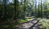 Trail Walking Houyet - Ciergnon - Circuit Natura 2000, des sites qui valent le détour - Na09 - Photo 6