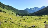 Trail Walking Saint-Jean-d'Aulps - Roc d'Enfer au départ de Graydon - Photo 16