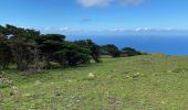 Tour Wandern Frontera - Sabinosa - El Sabinar - Ermita Virgen de Los Reyes (El Hierro) - Photo 17