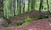Trail Horseback riding Auritz - 2023 R2 J1 - Photo 4