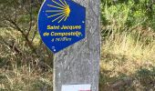 Trail  Chanaleilles - Le Puits En Velay, jour 4 - Photo 3