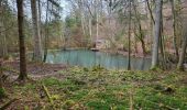 Tour Wandern Saint-Hubert - Arville 230323 - Photo 9