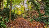 Tour Wandern Aywaille - Balade à Aywaille - Photo 10