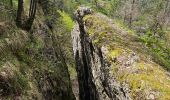 Excursión Senderismo Foncine-le-Bas - Autour de la cascade du Bief de la Ruine 🥾 - Photo 9