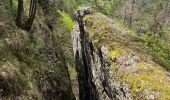 Tocht Stappen Foncine-le-Bas - Autour de la cascade du Bief de la Ruine 🥾 - Photo 9