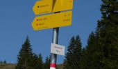 Tocht Te voet Oberaudorf - Weg Nr. 7 - Brünnstein - Oberaudorf/Hocheck - Photo 6