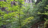 Trail Walking Vic-sur-Cère - Pas de Cère- cascade de Gourdole - Photo 11