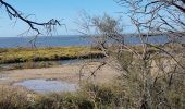 Tour Wandern Saintes-Maries-de-la-Mer - Saintes Marie de la Mer 26 09 2019 - Photo 1