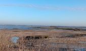 Tour Wandern Le Teich - Parc Ornithologique du Teich  - Photo 6