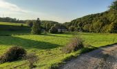 Tocht Noords wandelen Namen - wierde champêtre  - Photo 4