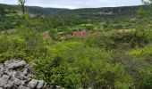 Tour Wandern Corn - Le causse par lacoste - Photo 1