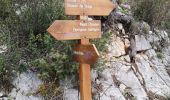 Trail Walking Aspremont -  le tour du Mont Chauve d'Aspremont - Photo 14