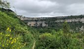 Tour Wandern Viala-du-Pas-de-Jaux - Viala St jean d alias - Photo 2