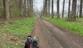 Trail Walking Tintigny - Bellefontaine Saint-Vincent - Photo 2