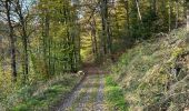 Trail Horseback riding Florenville - Les Epioux - Photo 6