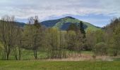 Trail Walking Niedersteinbach - Froensbourg - Photo 2