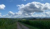 Tour Wandern Érezée - Soy definitif - Photo 12