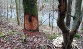 Randonnée Marche Stoumont - stpumont - froudcour aller via sentier corniche retour le long de l ambleve - Photo 6