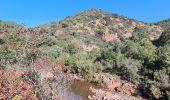 Trail Walking Saint-Raphaël - saint Raphaël mamelons de l esterel - Photo 9