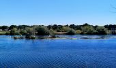 Tour Wandern Weset - La Montagne Saint-Pierre et ses alentours  - Photo 3