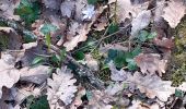 Trail Walking Grabels - serre grenouillet  - Photo 3