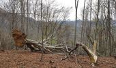 Tour Wandern Proveysieux - L'Oeuillon de Proveyzieux et La Grotte de la Barre Mangin - Photo 13